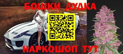 Альфа ПВП Аша