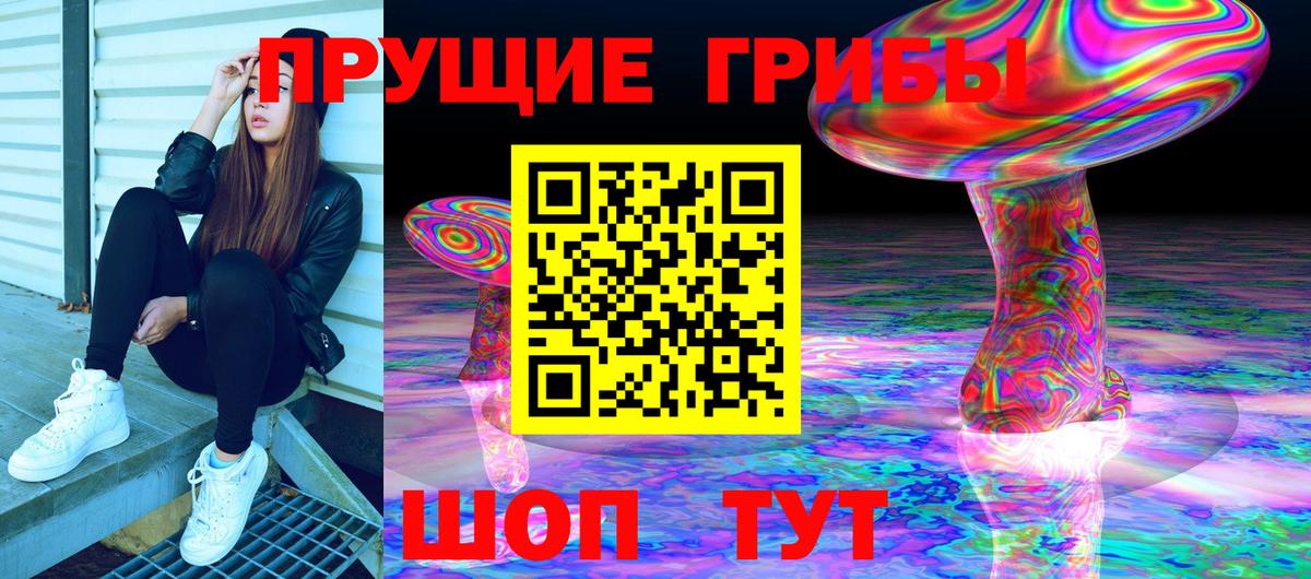 Соль-Илецк  Псилоцибиновые грибы Psilocybine cubensis  Галлюциногенные грибы мухоморы  Вход с VPN 